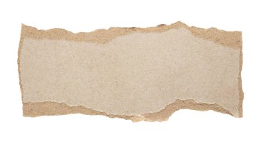 beyaz arkaplanda izole edilmiş gri kağıt yırtığı