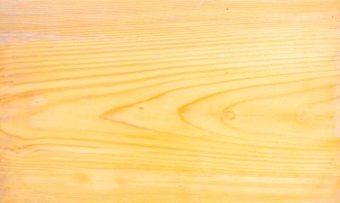 Çam ağacı yüzey dokusu arka planı