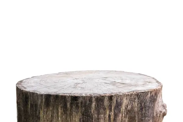 Baumstumpf Isoliert Auf Weißem Hintergrund — Stockfoto