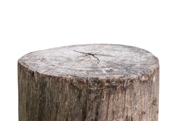 Baumstumpf Isoliert Auf Weißem Hintergrund — Stockfoto