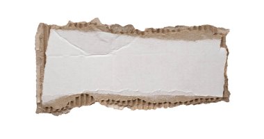 beyaz arkaplanda izole edilmiş beyaz kağıt yırtığı
