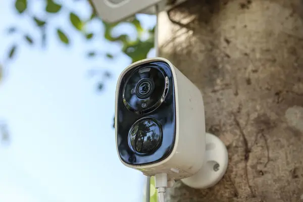 Security IP CCTV camera using solar energy install on the tree for home security system