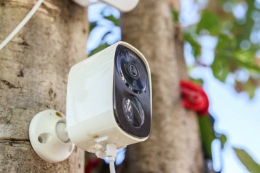 Security IP CCTV camera using solar energy install on the tree for home security system clipart