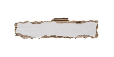 beyaz arkaplanda izole edilmiş beyaz kağıt yırtığı