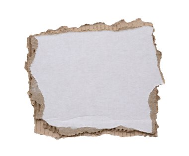 beyaz arkaplanda izole edilmiş beyaz kağıt yırtığı