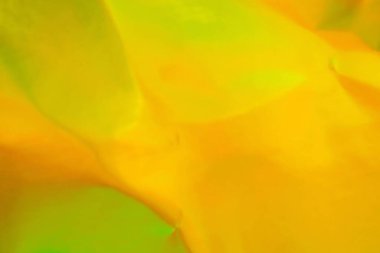 Holografik gökkuşağı folyo yanardöner doku soyut hologram arkaplan