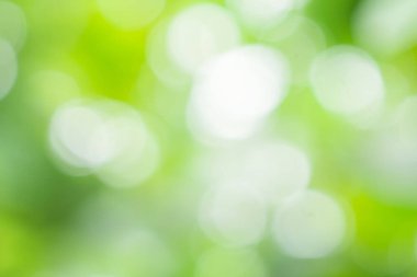 Soyut bulanık yeşil yaprak bokeh doğa arkaplanı