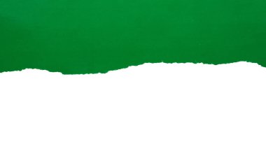 Green ripped paper torn edges strips isolated on white background