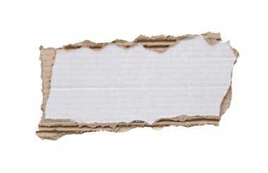 beyaz arkaplanda izole edilmiş beyaz kağıt yırtığı