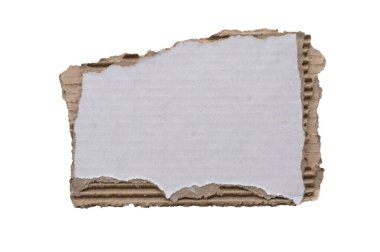 beyaz arkaplanda izole edilmiş beyaz kağıt yırtığı