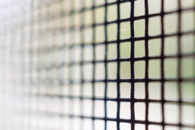 Evin penceresinde böceklere karşı sivrisinek ağı ekranı