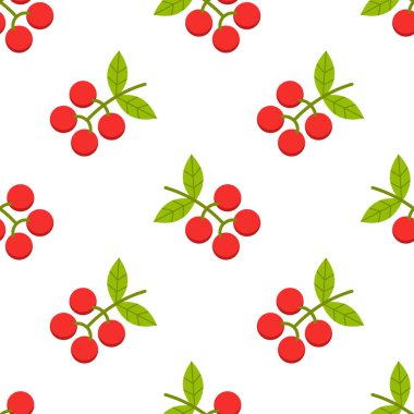 Taze kahve çekirdeğinin beyaz arka planda pürüzsüz bir deseni var..