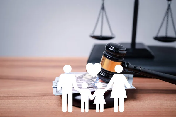 The family and child law concept is an essential part of the justice system, and courts play a crucial role in ensuring that the government\'s policies and laws regarding families, children are upheld.