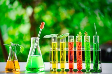 Kimya bilimi doğası. Yeşil, sarı ve kırmızı da dahil olmak üzere çeşitli renkli sıvılarla dolu cam şişe ve deney tüpleri koleksiyonu. Şişeler masanın üzerine yerleştirilmiş, bazıları bitki içeriyor.