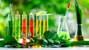 Yeşil ve sarı da dahil olmak üzere çeşitli renkli sıvılarla dolu cam şişe ve beher koleksiyonu. Şişeler ve deney şişeleri bir masanın üzerine yerleştirilmiş. Bazıları bitki içeriyor..