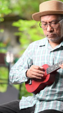 Küçük kırmızı ukulele çalan şapkalı ve gözlüklü bir adam. Adam bir sandalyede oturuyor ve eğleniyor.