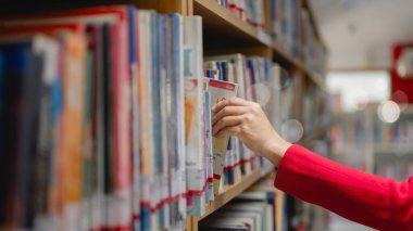 Kütüphanedeki Bilgiye Erişmek, Ahşap Raftan Renkli Kitap, Kırmızı Kol Detayları, Bilgiyle İç Görüntü, Bokeh Efekti