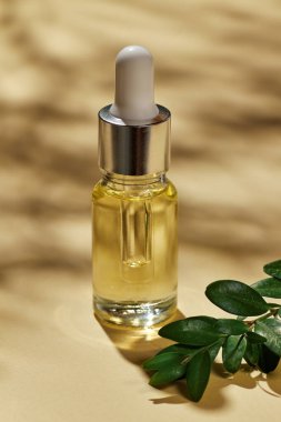 Bej arka planda cam şişede kaplıca tedavisi için yağ ve yaprak gölgeleri. Metin için alanı kopyala. 