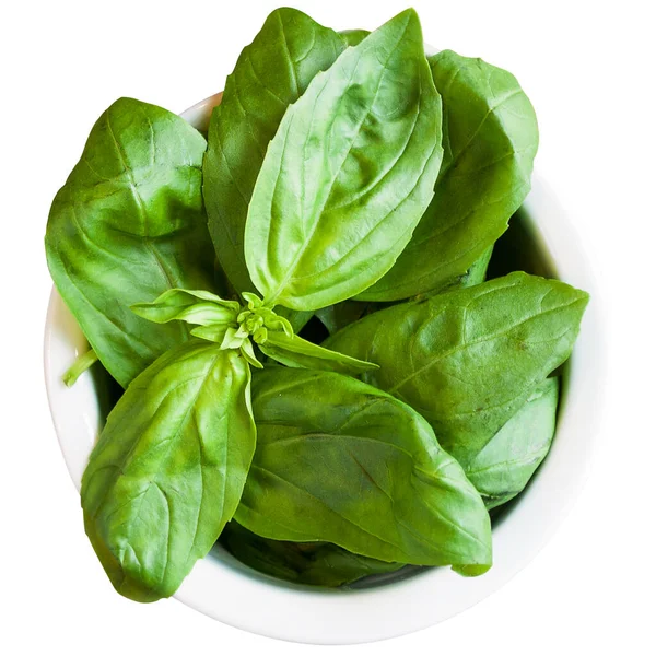 Basil leaves in mortar. Ingredients for basil pesto preparation, isolated on white background.