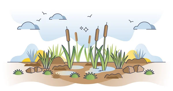 Las Turberas Pantanos Como Tierras Material Orgánico Descompuesto Delinean Concepto — Archivo Imágenes Vectoriales
