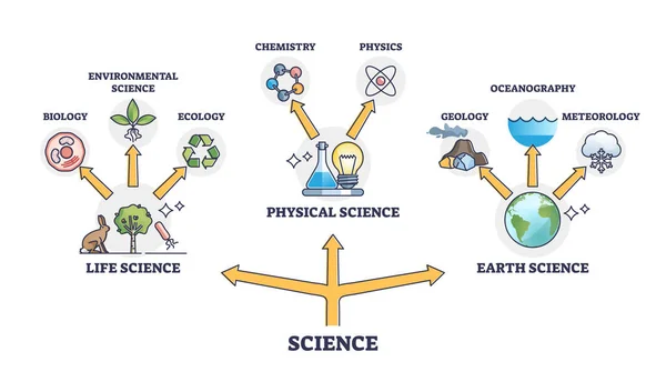 과학의 분업은 도표의 개요를 이루고 생물학 물리학 지질학 일러스트에 과학적 — 스톡 벡터