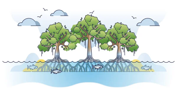 熱帯植物アウトラインコンセプトとして水中の根系を持つマングローブの木 湿った環境や沿岸の生理食塩水や汽水域の植物相図 エキゾチックな植物植物 — ストックベクタ