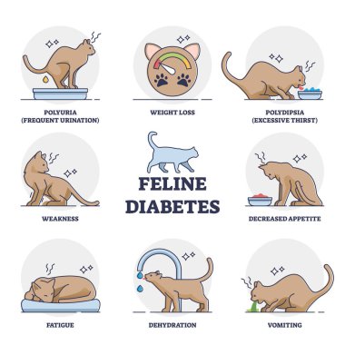 Feline mellitus cats diabetes symptoms for chronic insufficient insulin response or resistance outline diagram. Labeled educational scheme with veterinary disease for animals vector illustration. clipart