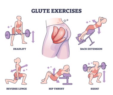 Glute exercises with body buttocks sport training examples outline diagram. Labeled educational butt fitness with deadlift, back extension, squat, hip thrust and lunge workout vector illustration.