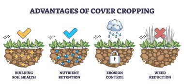 Cover crops cultivation or growing advantages for soil health outline diagram. Labeled educational scheme with earth health, nutrient retention, erosion control and weed reduction vector illustration