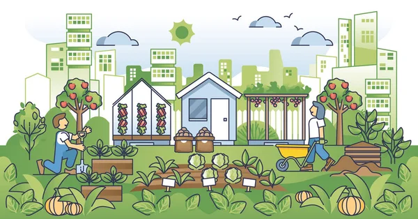 城市农业和生态城市园艺社区的概念纲要 从个人花园病媒图解中收获蔬菜和蔬菜作为当地食物 可持续农业生活方式 — 图库矢量图片
