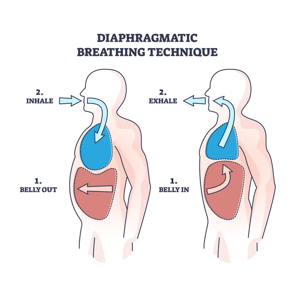 Técnica Respiración Diafragmática Con Diagrama Contorno Inhalación Exhalación Esquema Educativo — Vector de stock