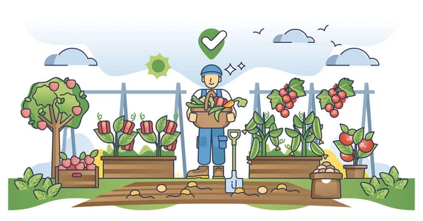 本地种植的食品和蔬菜种植或收获过程的概念概述 天然产品和季节性园艺的食用菌图解 有优质新鲜水果的生物农场 — 图库矢量图片