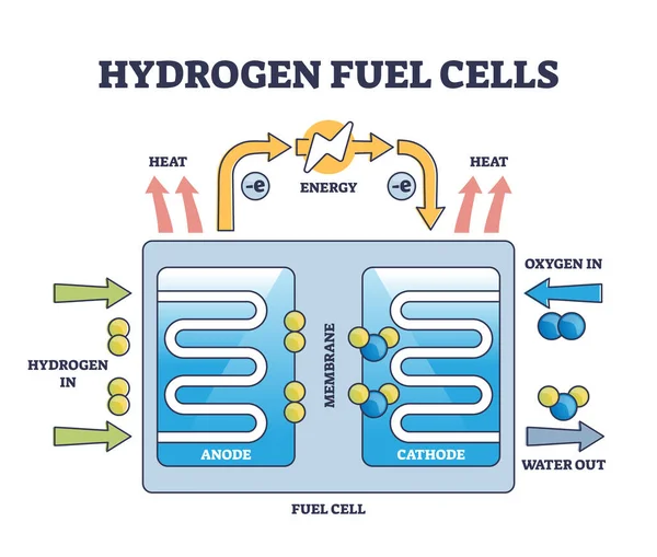 Wasserstoff Brennstoffzellen Funktionieren Prinzip Mit Pädagogischen Struktur Skizzieren Diagramm Beschriebenes — Stockvektor