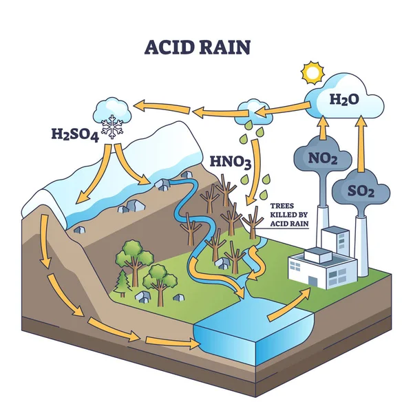 Causas Químicas Chuva Ácida Efeitos Danos Diagrama Contorno Natureza Esquema — Vetor de Stock