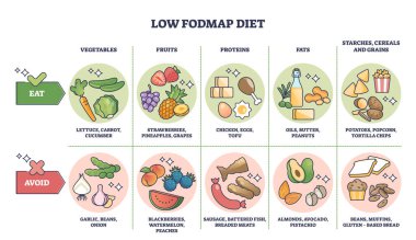 Düşük FODMAP diyeti ve sağlıklı karbonhidrat listesi diyagramı olan yiyecekler. Kolay sindirim işleme vektörü çizimi için etiketli eğitim şeması. Uzak durun ve bu ögeleri dahil edin.