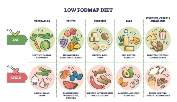 Dieta Fodmap Baixa Alimentos Com Carboidratos Saudáveis Listam Diagrama Contorno —  Vetores de Stock