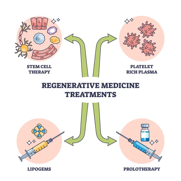 Hastanın Ana Hatlarını Iyileştirmek Için Rejeneratif Tedavi Yöntemleri Kök Hücre — Stok Vektör