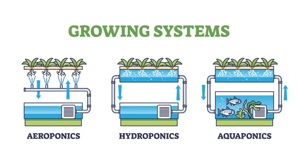 成長するシステムのアウトライン図としてのAquaponics HydroponicsおよびAiroponics 様々な植物成長技術のベクトル図とラベル付きリスト 作物栽培のための温室農業方法 — ストックベクタ
