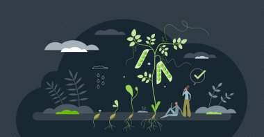 Bitki temelli diyetler, yeşil taze doğal gıdalar, küçük insan konsepti. Sağlıklı alternatif olarak vejetaryen ya da vejetaryen yemek seçimi ve vitamin açısından zengin vektör illüstrasyonu. Sebze kaynağı menüsü.