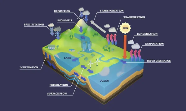 Water cycle diagram with rain flow circulation and in 3D illustration. Labeled geological scheme with deposition, precipitation, evaporation and condensation stages. Ecosystem and hydrologic circuit
