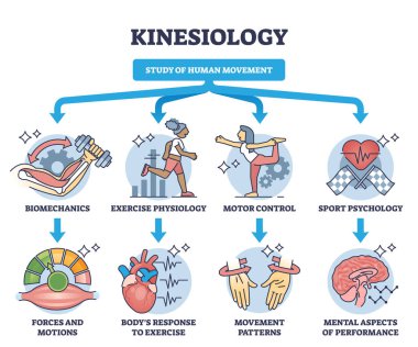 Kinesiology as study of human movement and motion activity outline diagram. Labeled educational scheme with medical division for biomechanics, exercise physiology or motor control vector illustration clipart