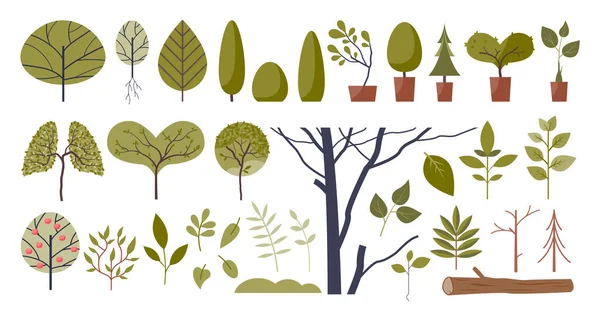 Dekorativní Stromy Zelené Stylové Rostlinné Prvky Sbírkové Sadě Izolovaný Strom — Stockový vektor