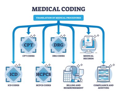 Medical coding and translation of medicine health procedures outline diagram. Labeled educational scheme with diagnosis, equipment and services information alphanumeric codes vector illustration. clipart