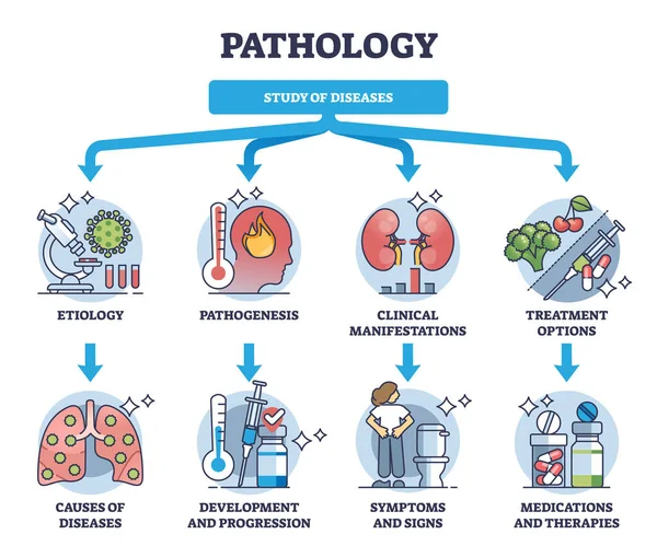 stock vector Pathology and study of diseases medical field classification outline diagram. Labeled educational scheme with etiology, pathogenesis, clinical manifestations and treatment options vector illustration