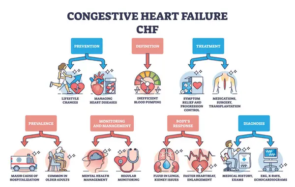 Ключевые Аспекты Застойной Сердечной Недостаточности Диаграммы Объяснения Chf Маркированная Образовательная — стоковый вектор