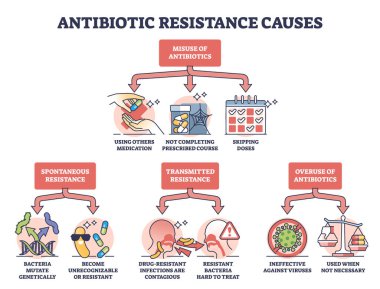 Antibiyotik direnci etkisiz kullanım şeması faktörleri ve nedenleri. Etiketli eğitim şeması, ilaçların yanlış kullanımı, kendiliğinden veya iletilen direnç ve aşırı kullanım vektörü çizimi
