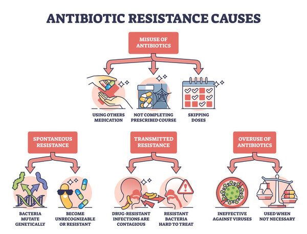 Antibiotic resistance causes and factors of ineffective usage outline diagram. Labeled educational scheme with medication misuse, spontaneous or transmitted resistance and overuse vector illustration