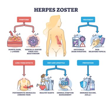 Herpes zoster enfeksiyonu tıbbi semptomlar ve tedavi şeması. Cilt önleme, diyet, yaşam tarzı ve uzun vadeli etkiler vektör illüstrasyonunu açıklayan etiketli eğitim şeması.