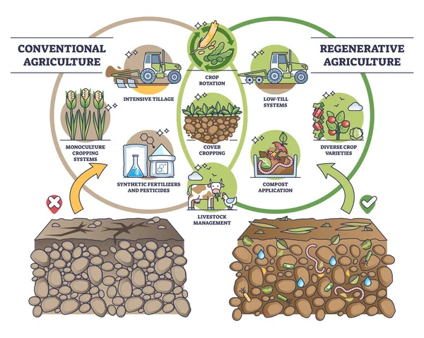 再生农业与传统土壤做法的对比示意图 标签教育耕作系统与可持续有机园艺和集约耕作病媒说明的比较 — 图库矢量图片
