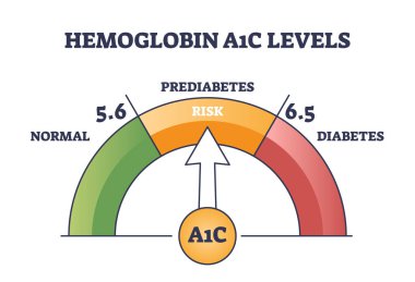 Hemoglobin A1C testi prediyabet ve diyabet kontrolü şeması için. Kan dolaşımı glikoz seviyesi ölçüm vektörü illüstrasyonuyla etiketlenmiş eğitim şeması. Şeker kontrolü, kanla izleme